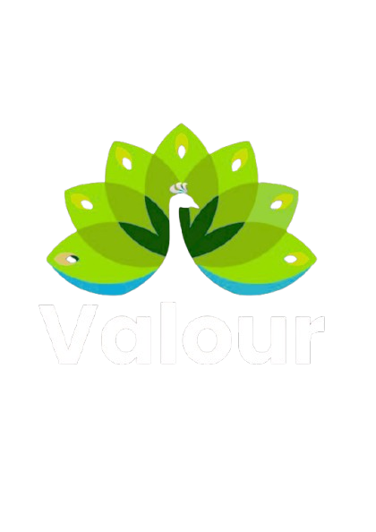 Valour Logo